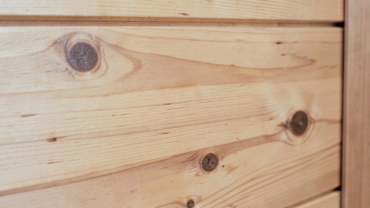 boazeria świerkowa skandynawska