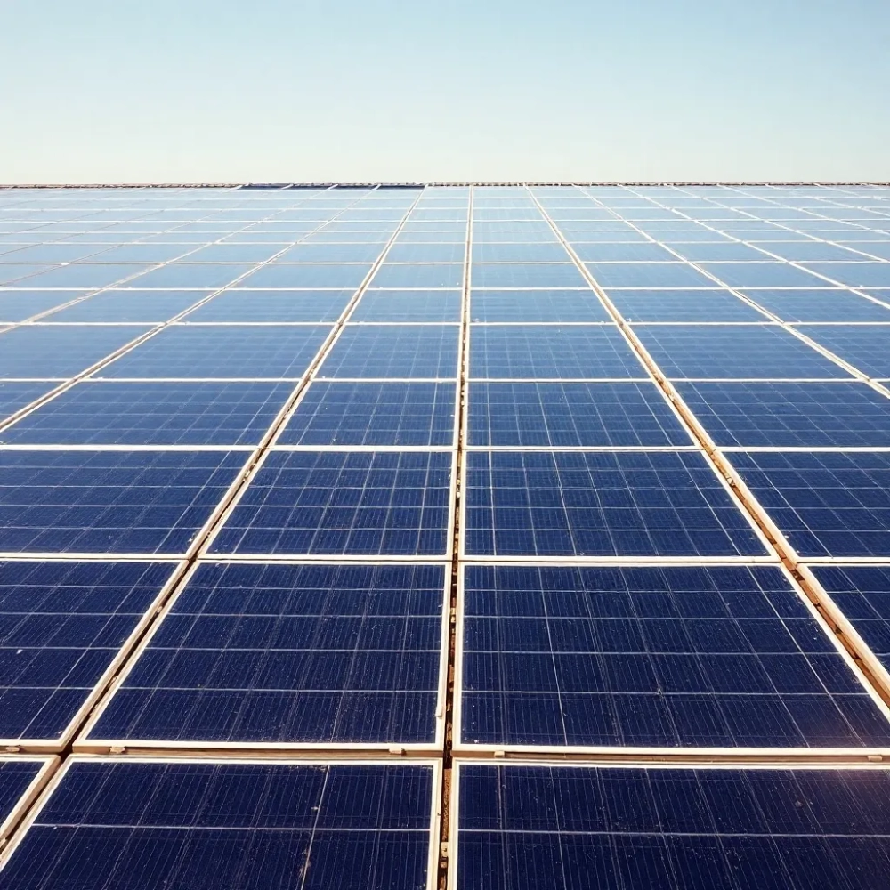 Czy panele fotowoltaiczne mogą lezec