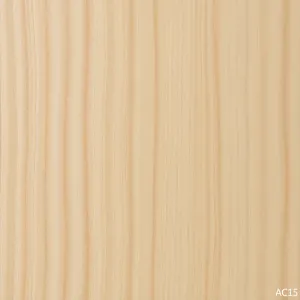 AC5 panele co to znaczy