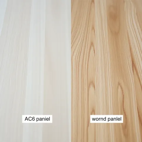 AC6 panele co to znaczy