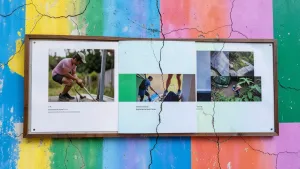 Akryl do fasad kolory