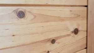 boazeria świerkowa skandynawska