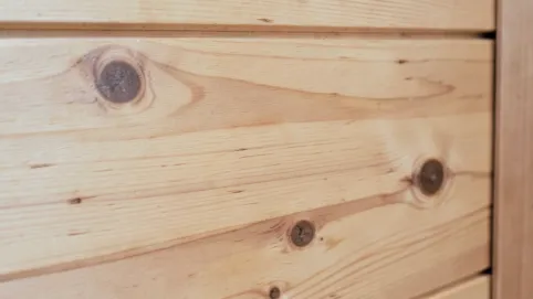 boazeria świerkowa skandynawska