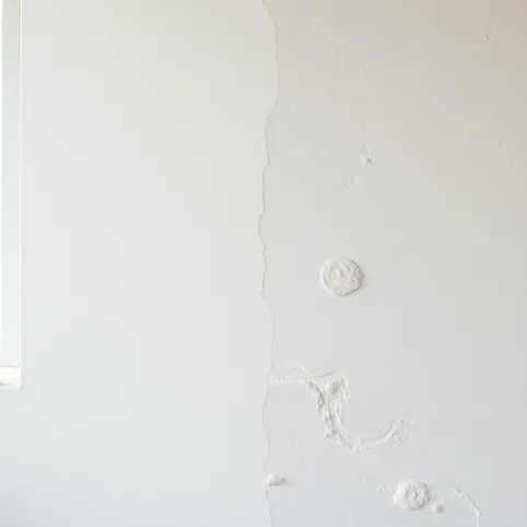 Czy na tynki gipsowe kładzie się gładź