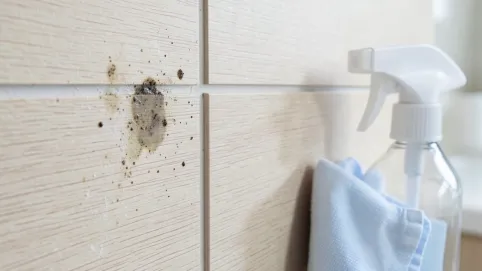 Czym myć panele ścienne MDF