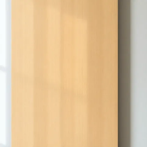 Drzwi płyta wiórowa otworowa