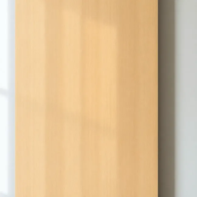 Drzwi płyta wiórowa otworowa