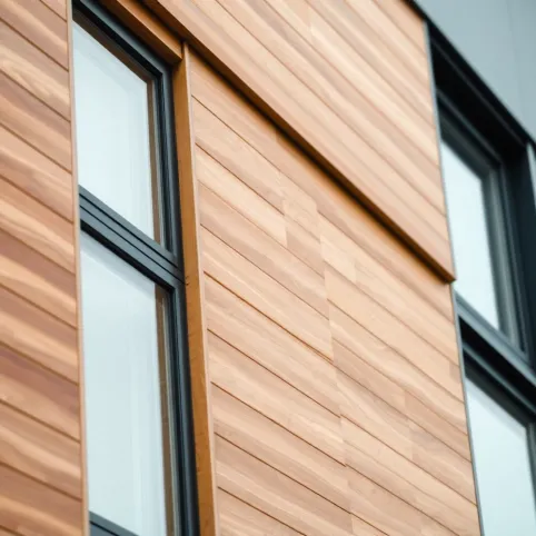 Elewacja wentylowana