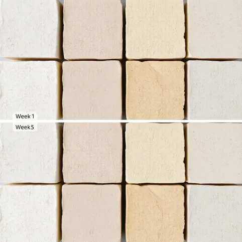 jak długo schnie tynk cementowowapienny