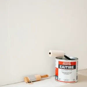 Jak pomalować tynk zewnętrzny