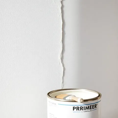 Jaka farba gruntująca na tynk gipsowy