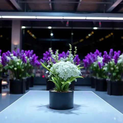 Jaka farba na tynk silikonowy