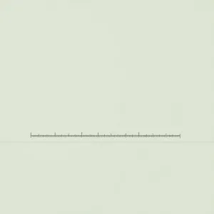 Kalkulator powierzchni ścian do tynkowania