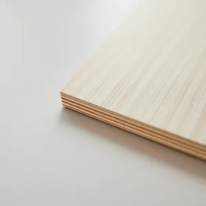 Płyta wiórowa laminowana 22mm