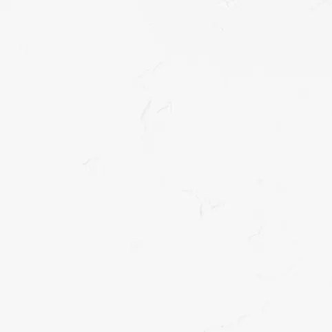 Tynk gipsowy twardy cena