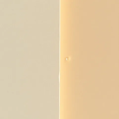 Tynk silikatowy a silikonowy