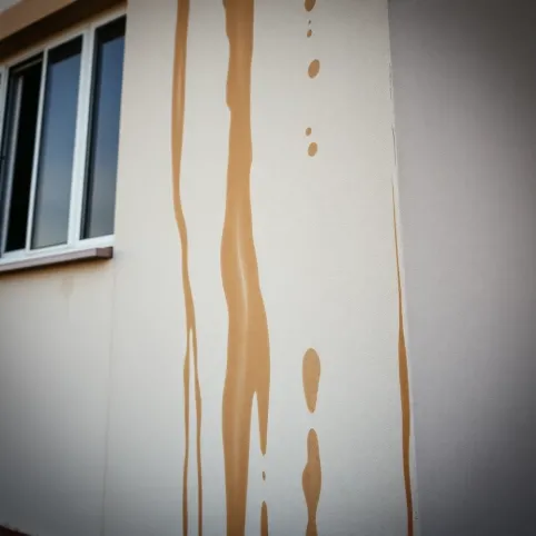 Zacieki Na Elewacji Przyczyny