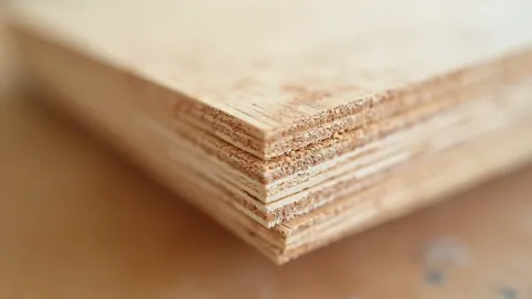 budowa sklejki